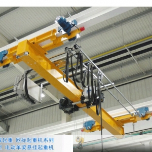 WʽؙC European type crane