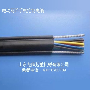 늄(dng)J|  Longhui Company electric hoist control cable